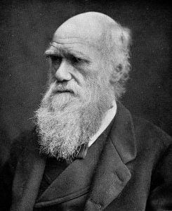 Charles Darwin (Via Wikipedia)