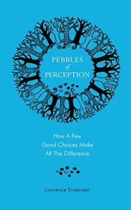 Pebbles of Perception- How a Few Good Choices Make All The Difference